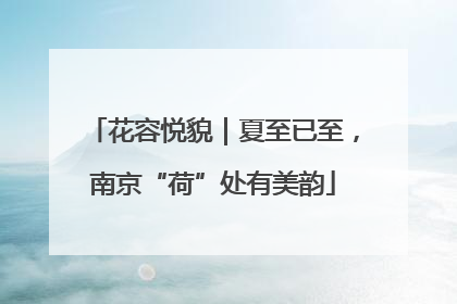 花容悦貌｜夏至已至，南京“荷”处有美韵