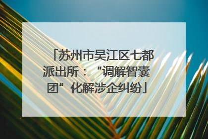 苏州市吴江区七都派出所：“调解智囊团”化解涉企纠纷