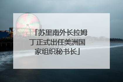 苏里南外长拉姆丁正式出任美洲国家组织秘书长