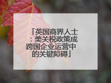英国商界人士：美关税政策成跨国企业运营中的关键障碍