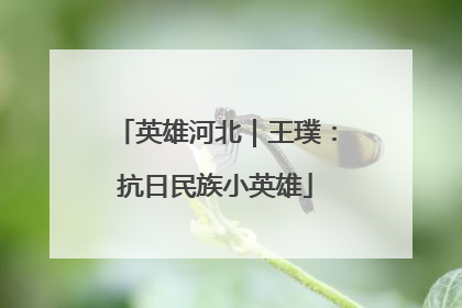 英雄河北｜王璞：抗日民族小英雄