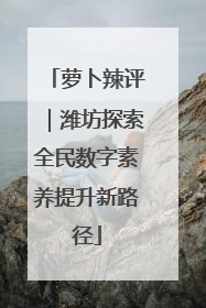 萝卜辣评｜潍坊探索全民数字素养提升新路径