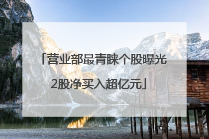营业部最青睐个股曝光 2股净买入超亿元