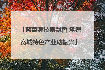 蓝莓满枝果飘香 承德宽城特色产业助振兴