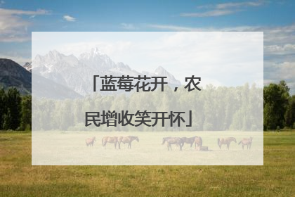 蓝莓花开，农民增收笑开怀