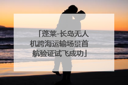 蓬莱-长岛无人机跨海运输场景首航验证试飞成功