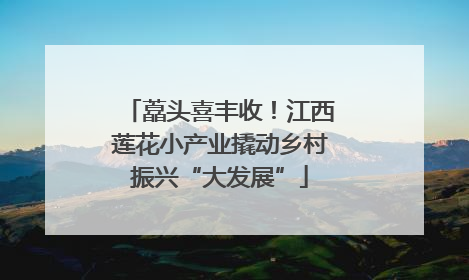 藠头喜丰收！江西莲花小产业撬动乡村振兴“大发展”