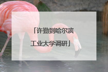 许勤到哈尔滨工业大学调研