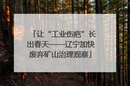 让“工业伤疤”长出春天——辽宁加快废弃矿山治理观察