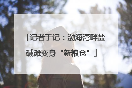 记者手记：渤海湾畔盐碱滩变身“新粮仓”