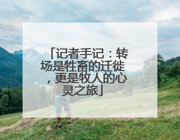 记者手记：转场是牲畜的迁徙，更是牧人的心灵之旅