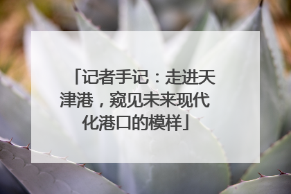 记者手记：走进天津港，窥见未来现代化港口的模样
