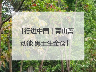 行进中国｜青山蓄动能 黑土生金仓