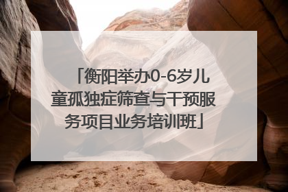衡阳举办0-6岁儿童孤独症筛查与干预服务项目业务培训班