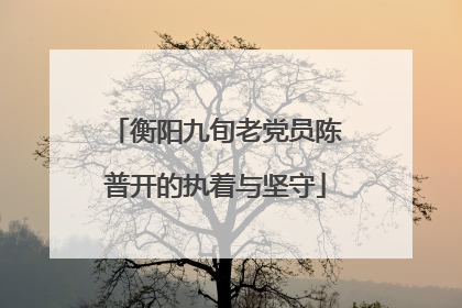 衡阳九旬老党员陈普开的执着与坚守
