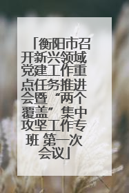 衡阳市召开新兴领域党建工作重点任务推进会暨“两个覆盖”集中攻坚工作专班 第一次会议