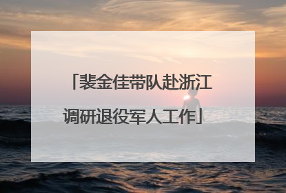 裴金佳带队赴浙江调研退役军人工作