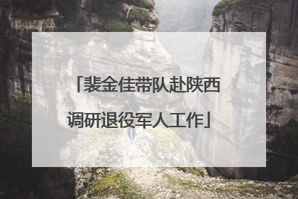 裴金佳带队赴陕西调研退役军人工作