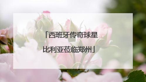 西班牙传奇球星 比利亚莅临郑州