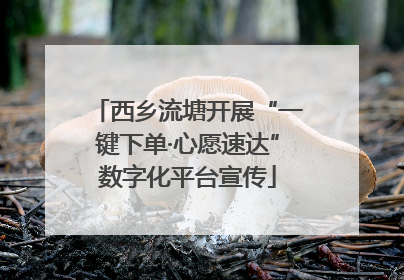 西乡流塘开展“一键下单·心愿速达”数字化平台宣传