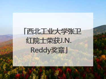 西北工业大学张卫红院士荣获J.N.Reddy奖章