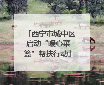 西宁市城中区 启动“暖心菜篮”帮扶行动
