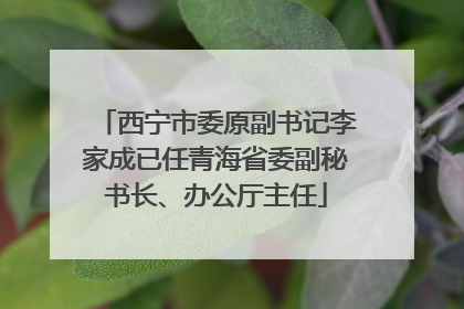 西宁市委原副书记李家成已任青海省委副秘书长、办公厅主任