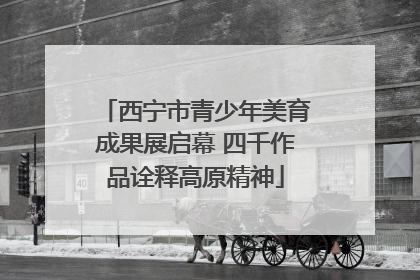 西宁市青少年美育成果展启幕 四千作品诠释高原精神