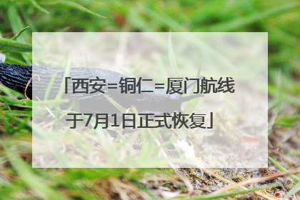 西安=铜仁=厦门航线于7月1日正式恢复