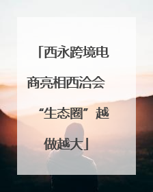 西永跨境电商亮相西洽会“生态圈”越做越大