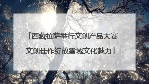 西藏拉萨举行文创产品大赛 文创佳作绽放雪域文化魅力