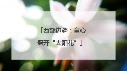 西部边疆：童心盛开“太阳花”