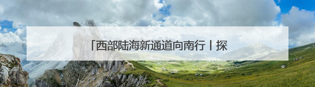 西部陆海新通道向南行丨探寻新通道货物运量增长密码