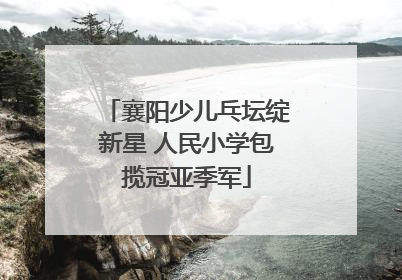 襄阳少儿乓坛绽新星 人民小学包揽冠亚季军