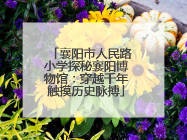 襄阳市人民路小学探秘襄阳博物馆：穿越千年触摸历史脉搏