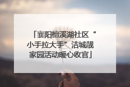 襄阳檀溪湖社区“小手拉大手”洁城靓家园活动暖心收官