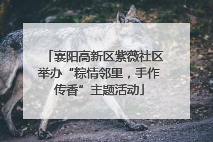 襄阳高新区紫薇社区举办“粽情邻里，手作传香”主题活动
