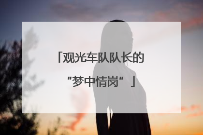 观光车队队长的“梦中情岗”