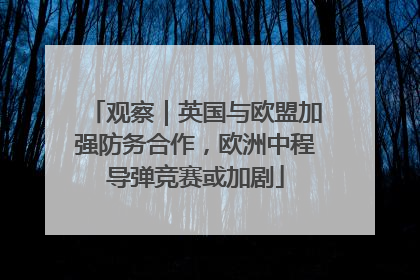 观察｜英国与欧盟加强防务合作，欧洲中程导弹竞赛或加剧