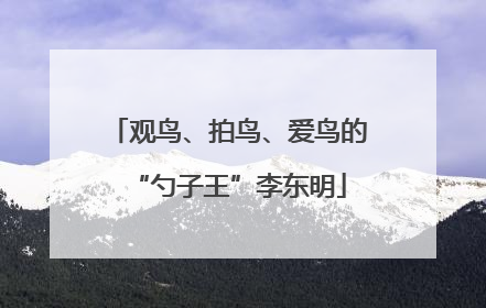 观鸟、拍鸟、爱鸟的“勺子王”李东明