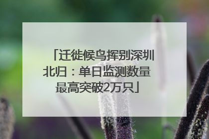 迁徙候鸟挥别深圳北归：单日监测数量最高突破2万只