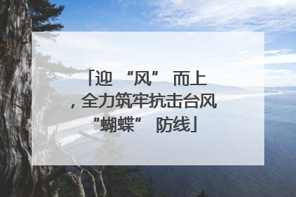迎 “风” 而上，全力筑牢抗击台风 “蝴蝶” 防线