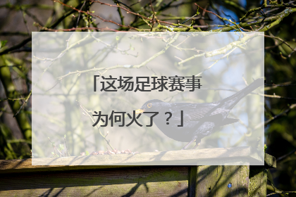 这场足球赛事为何火了？