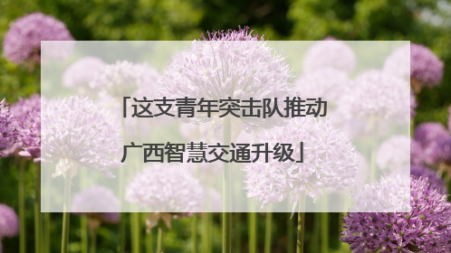 这支青年突击队推动广西智慧交通升级