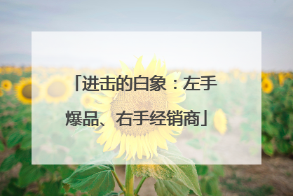 进击的白象：左手爆品、右手经销商