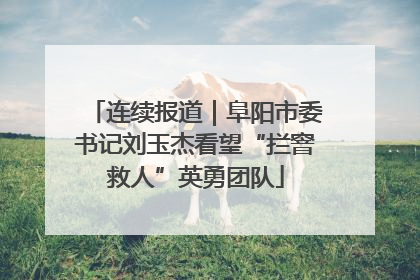 连续报道｜阜阳市委书记刘玉杰看望“拦窨救人”英勇团队