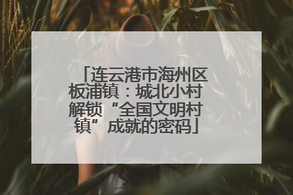 连云港市海州区板浦镇：城北小村解锁“全国文明村镇”成就的密码