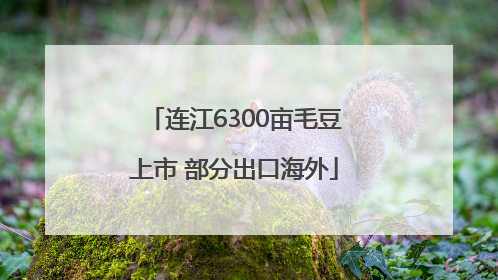 连江6300亩毛豆上市 部分出口海外