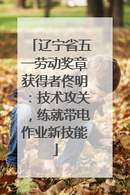 辽宁省五一劳动奖章获得者佟明：技术攻关，练就带电作业新技能
