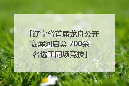 辽宁省首届龙舟公开赛浑河启幕 700余名选手同场竞技